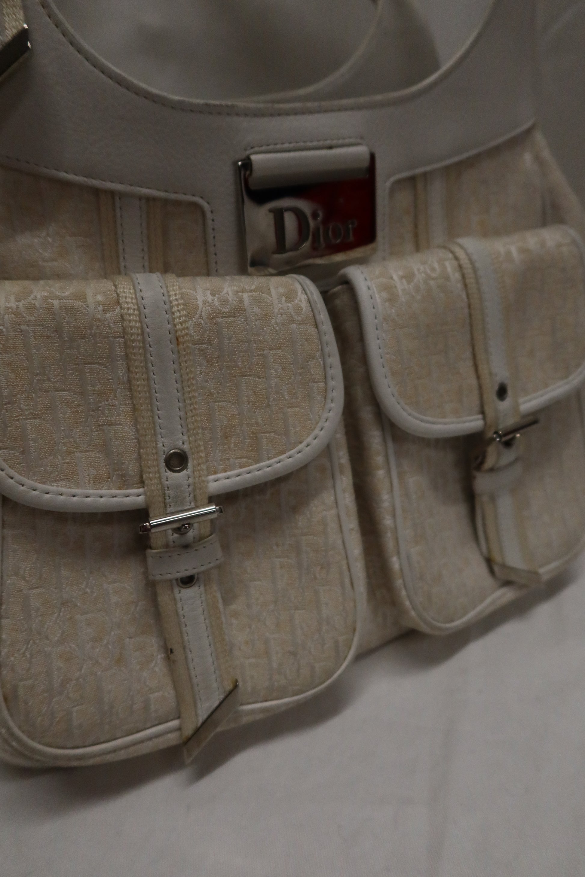 Christian Dior Street Chic Columbus Shoulder Bag (in Vanilla Oblique and Leather)